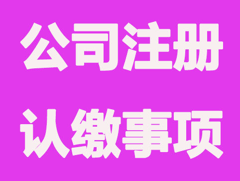 厦门注册公司-股东认缴4种出资方式总结