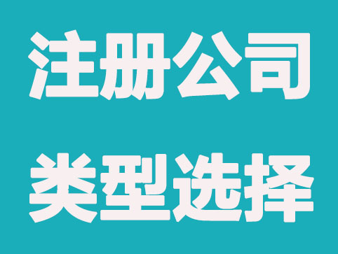注册公司类型选择及分析