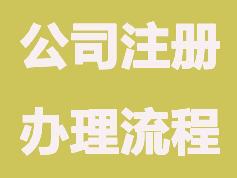 两人合伙有限公司注册办理流程是怎么样的