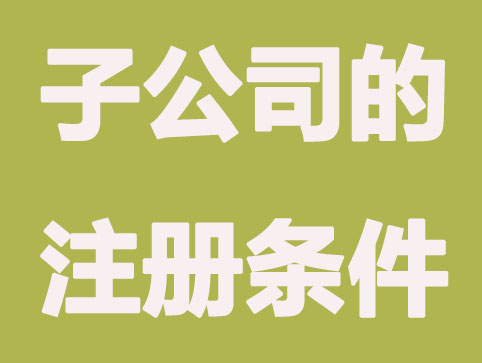 合肥子公司创办的有什么条件？