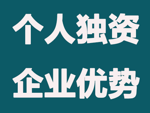 什么是个人独资企业？有什么优势？
