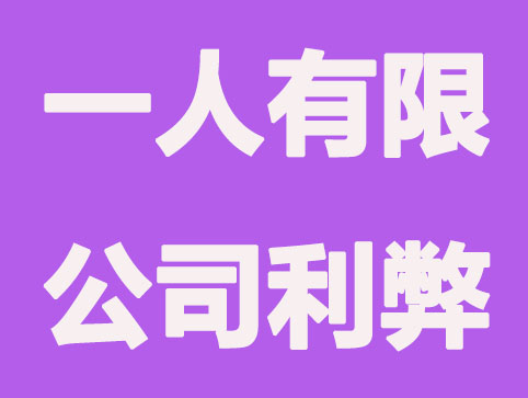 1分钟了解，注册一人有限公司利弊表现？