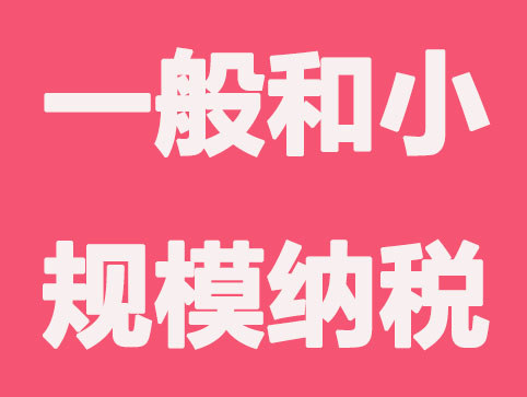 为什么一般纳税人代理记账比小规模纳税人贵