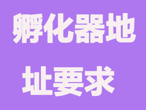 使用孵化器地址和普通地址有什么不同？
