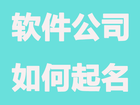 好听的软件公司如何起名,软件公司名称大全