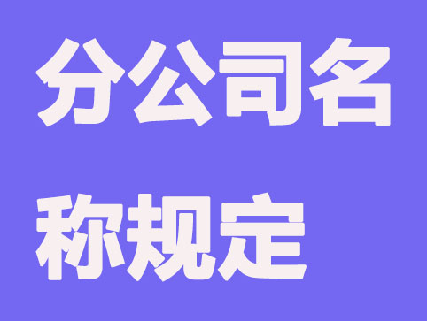 成立分公司名称有哪些规定？