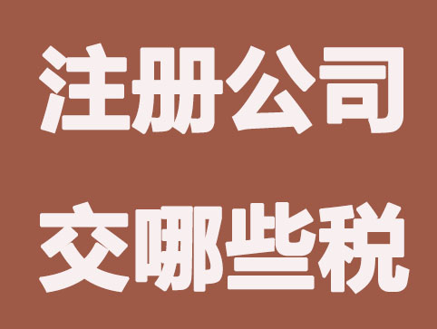 注册公司每年要依法交哪些税？