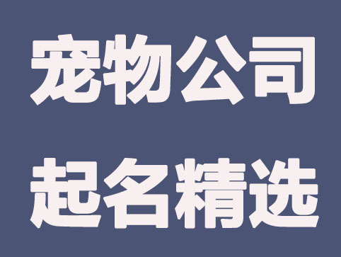 宠物公司起名方法大全，好听有创意的公司起名名称推荐