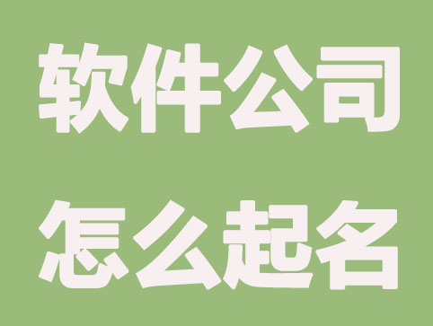 软件公司怎么起名？科技感十足的公司起名方法大全