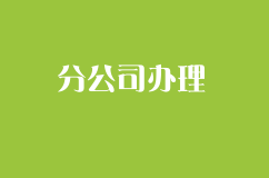 开分公司办理营业执照需要哪些手续