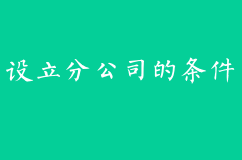 设立分公司的条件和流程