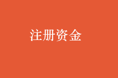 公司注册资金