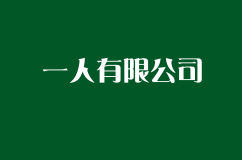 注册一人公司