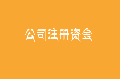 注册公司的注册资金