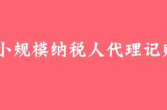 小规模纳税人怎样进行代理记账
