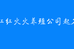 好听又霸气的养殖公司起名，让养殖生意红红火火