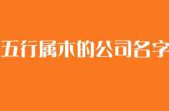五行属木的公司名字