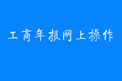 企业工商年报网上操作步骤及注意事项？