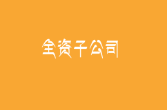 全资子公司是什么啊？其中母公司对全资子公司承担什么样的责任？