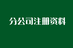 分公司注册一般纳税人的资料有哪些