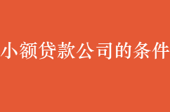 注册小额贷款公司的条件是什么