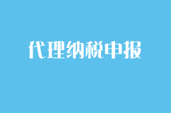 代理纳税申报业务，注册一般纳税人代理条件