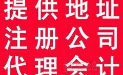 一个公司注册如何取名