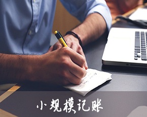小规模代理记账（一年）