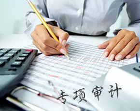 专项审计