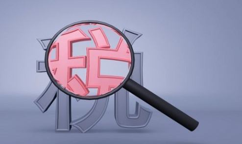 个人独资企业所交税务表