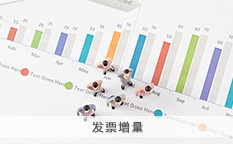 发票增量