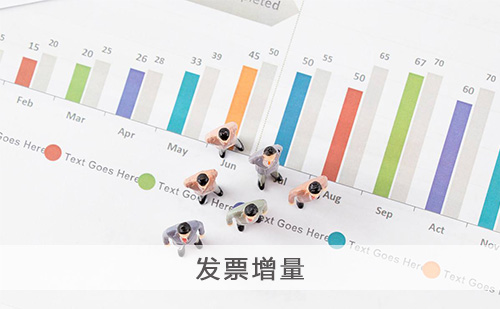 发票增量 发票增量