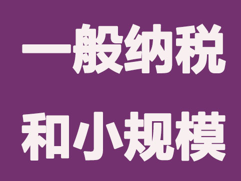 如何区分一般纳税人和小规模纳税人