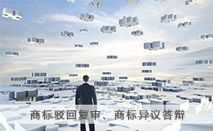 商标驳回复审异议