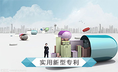实用新型专利申请